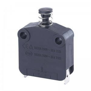China Momentary Push Switch